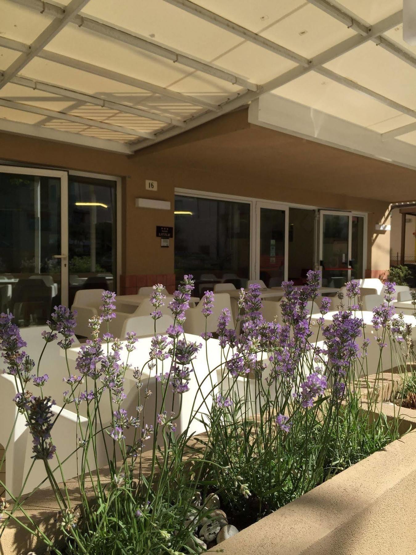 Hotel Little Rimini Exteriör bild